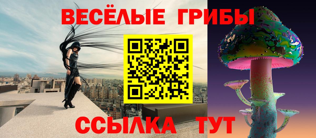Псилоцибиновые грибы прущие грибы Черемхово